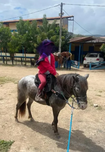 Potra linda e mansa à venda