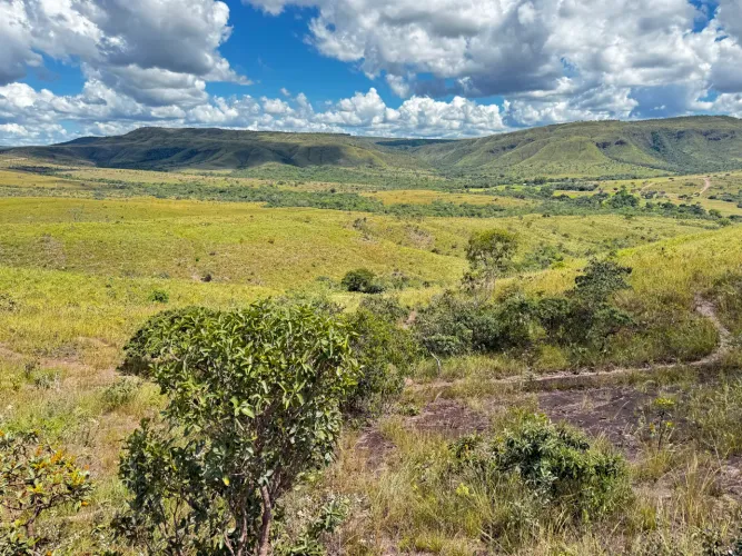 Fazenda com 134 hectares Chapada dos Veadeirosb