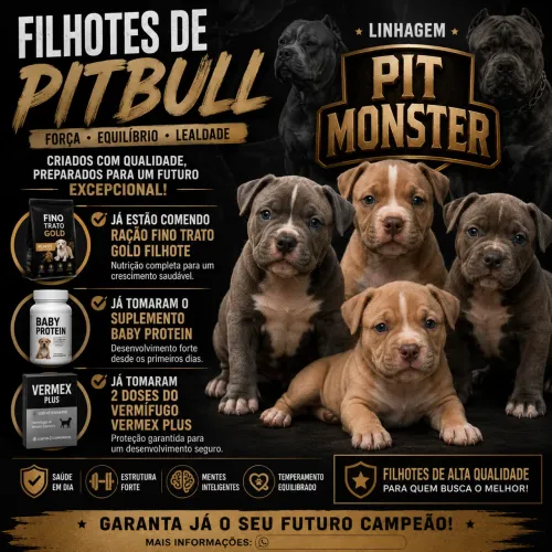 Animais 