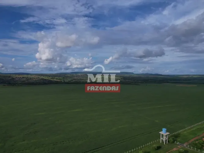 Fazenda 374 alqueires (1.810 hectares ) Doverlandia - Go
