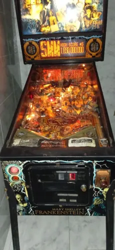 Pinball Frankenstein Mary Shelley?s - Sega - 110V - Funcionando