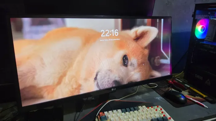 Monitor LG ultrawide 29"