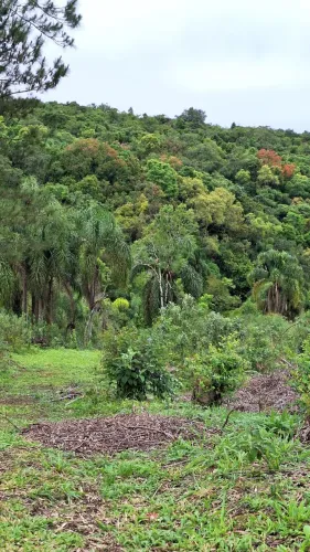 Terreno com 12.500 metros