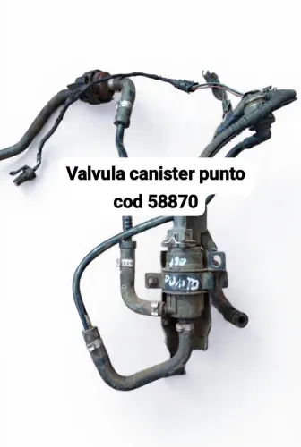 Válvula canister punto