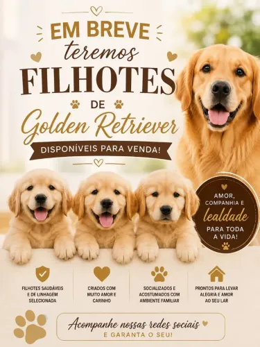 Golden Retriever