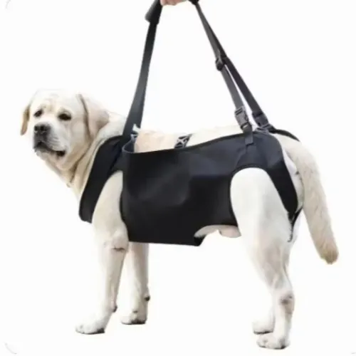 SUPORTE COM ALÇA PARA PET - TAM G