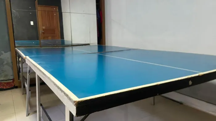 Mesa de tenis de mesa