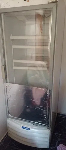 Freezer Metalfrio