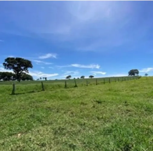 Vendo terra