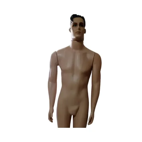 Manequim Masculino Adulto Usado para Loja Plástico Resistente para Vitrine Expositor 