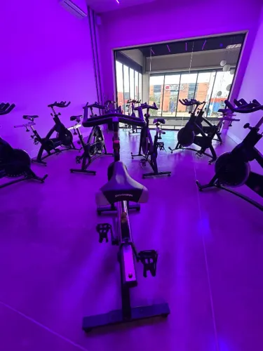 Bikes Schwinn IC Profissionais - Lote