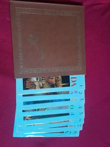 Coleção Disco Vinil Clássica 