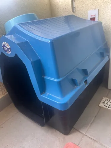Casinha cachorro