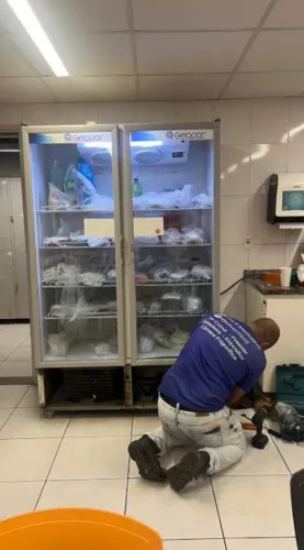 Geladeira/freezer manutenção