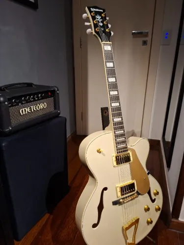 Guitarra semi-acustica Waldman®