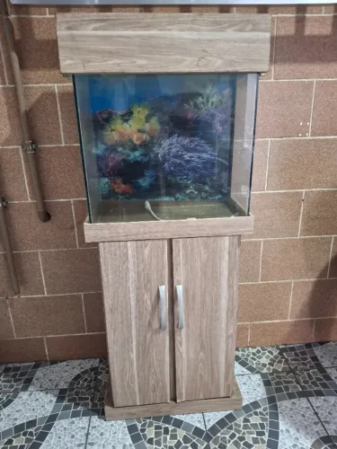 Aquario ornamental de 60 litros