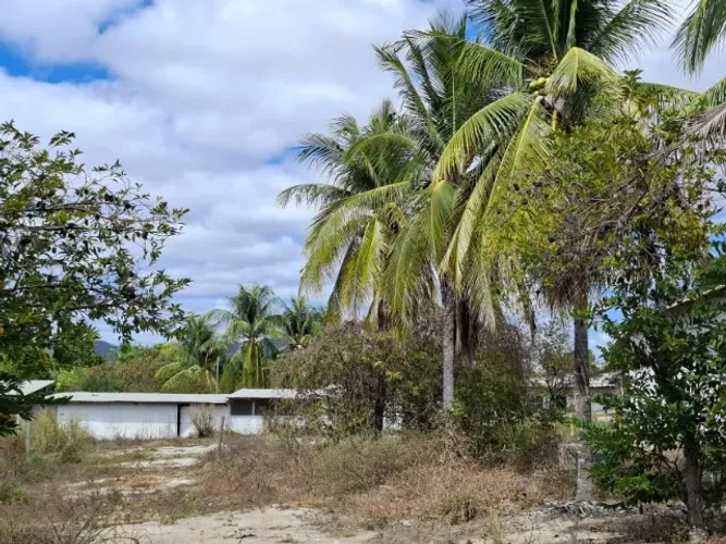 Venda de terreno urbano de 6.146,15m² no Bairro São Cristóvão - Itaobim/MG