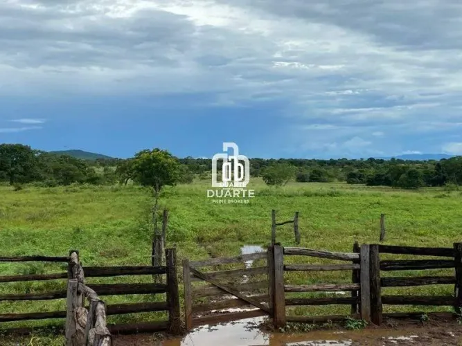 Oportunidade única: fazenda à venda em Formosa-GO, Setor Primavera! 1 quarto, 1 banheiro, 