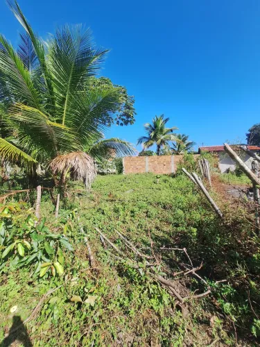 Terreno em salinas da margarida