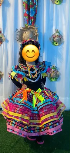 Conjunto junino luxo