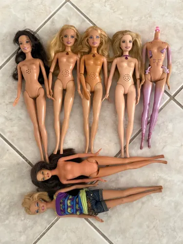 Lote de Barbies 4 unidades