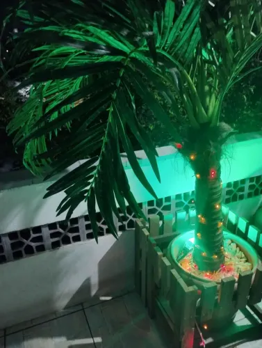 Palmeira Decorativa com Iluminação