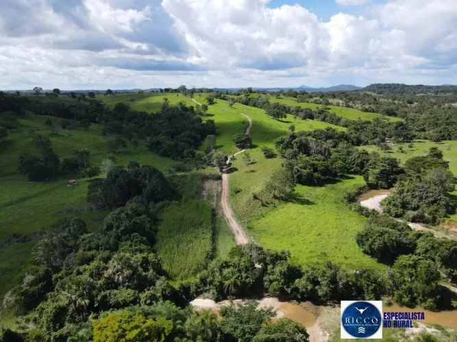 Fazenda à Venda Itapuranga-GO | 45 Alqueires (218,2 ha)