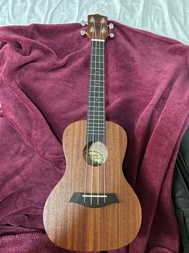 Ukulele tagima 