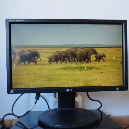 Monitor Lg 20 Polegadas Imagem HD 100% Funcionando S/ Marcas na Tela - Entregamos