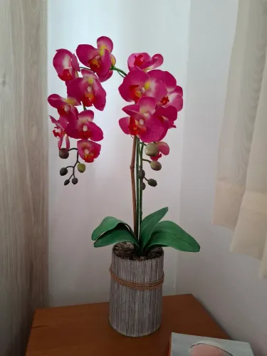 Arranjo Floral