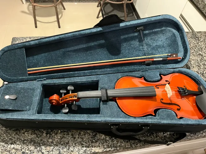 Violino vivace