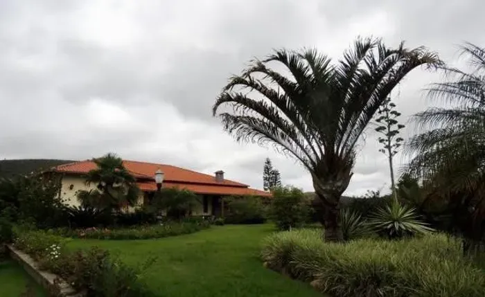 Haras cinematográfico