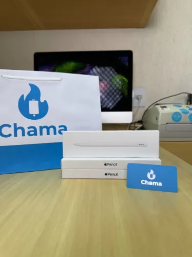 Apple Pencil USB-C Original Apple - Lacrado Loja Física