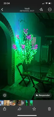 Árvore ? rara de Natal