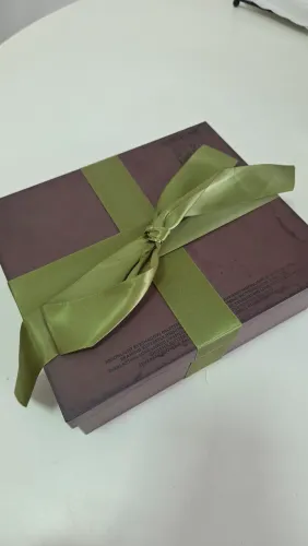 COLEÇÃO CORPSE BRIDE SHEGLAM NOIVA CADÁVER 