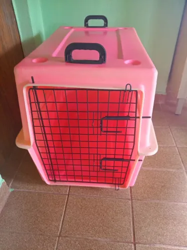 casinha de cachorro de plástico 