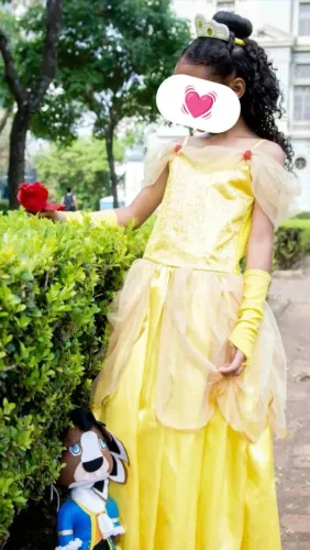 Vestido da princesa bela e a fera