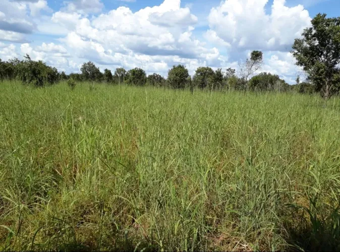 Fazenda em Santa Maria das Barreiras 