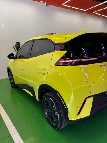 BYD Dolphin Mini (Elétrico) 2024