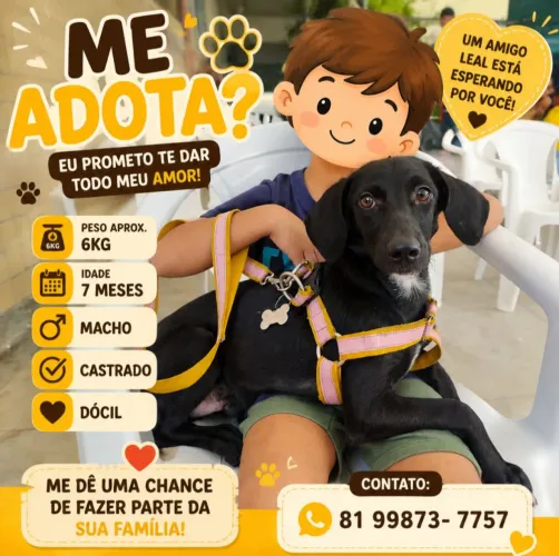 Pretinho pequeno porte, tem 6,5kg