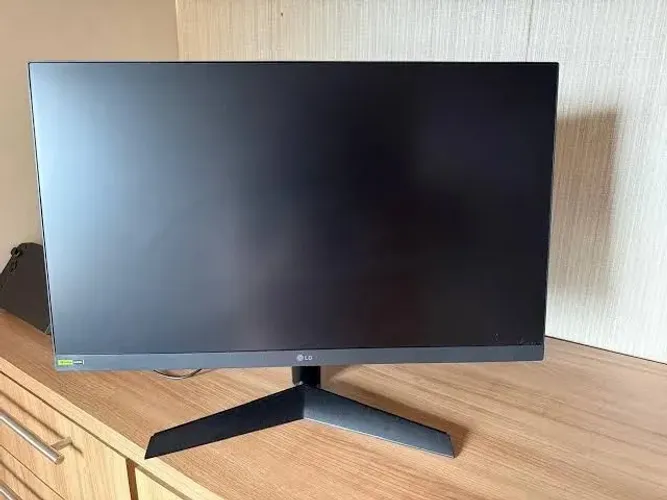 Monitor Lg 24 180Hz