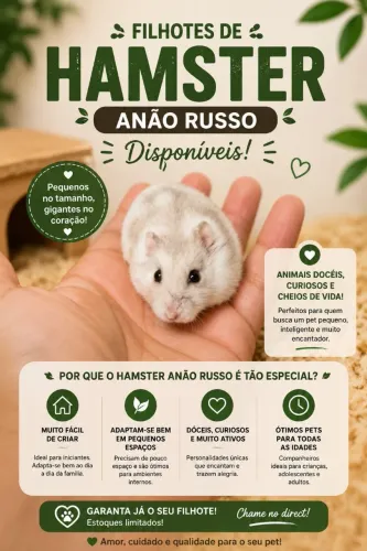 Hamster Anão Russo 