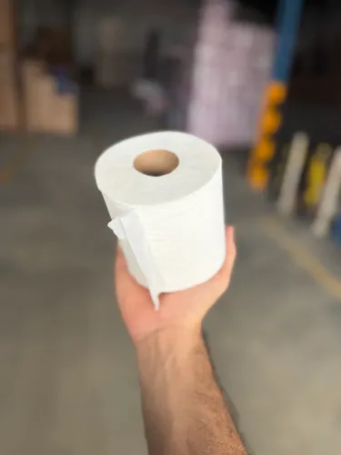 PAPEL HIGIÊNICO E PAPEL TOALHA