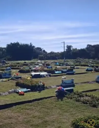 Jazigo Parque Manaus Tarumã 