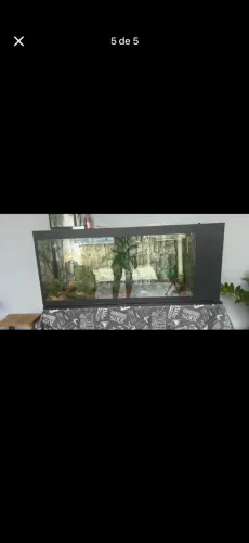 Aquário 200 litros