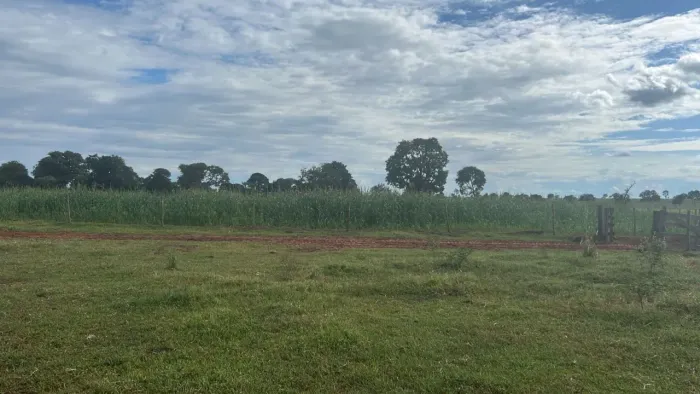 Fazenda em Água Clara - MS, 1150 alqueires - Valor 80.000,00 pro alqueire