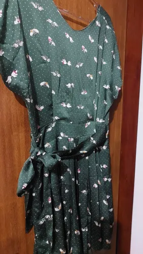Vestido de verde de bixinhos 