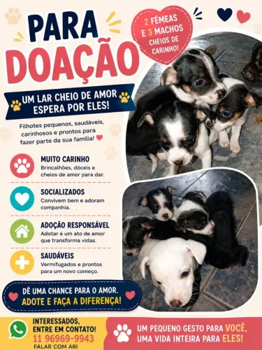 Filhotes de cachorro