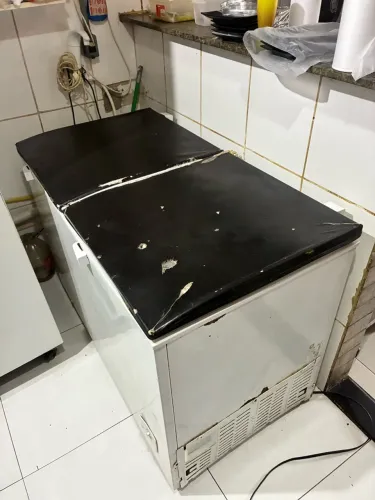 Freezer Eletrolux 400L