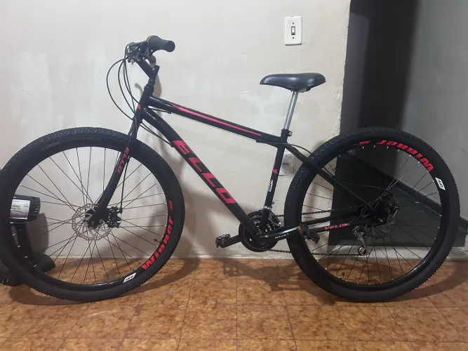 Bicicleta 